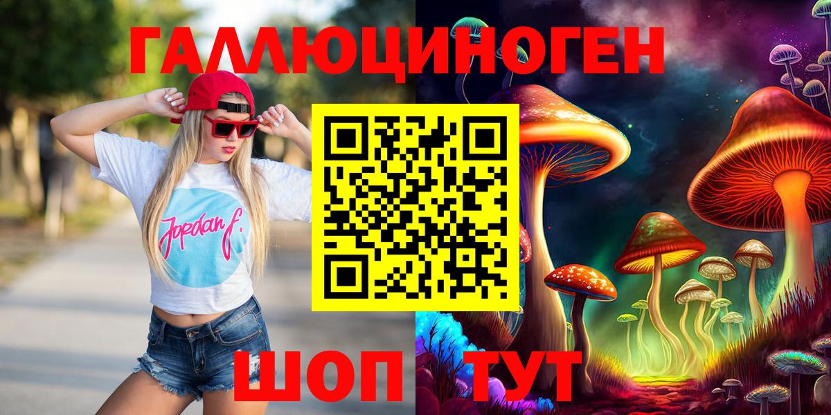 где найти наркотики  Галлюциногенные грибы Psilocybe  Вход с VPN  Алексеевка 